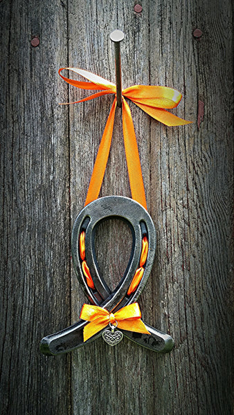 Horseshoe Awareness Ribbon