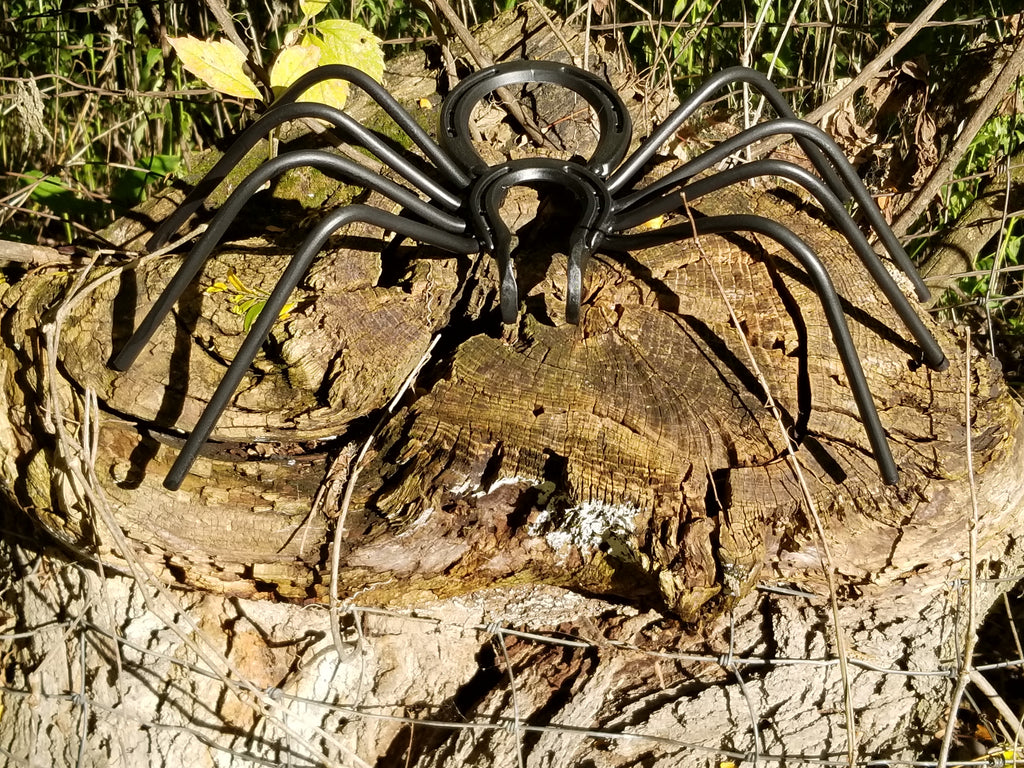 Spooky Spider