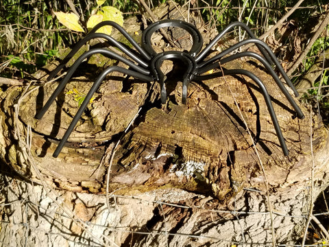 Spooky Spider