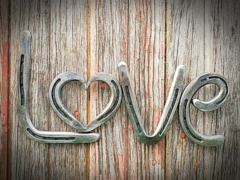 Horseshoe "Love" Wall Art