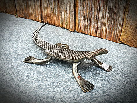 Rasp Lizard