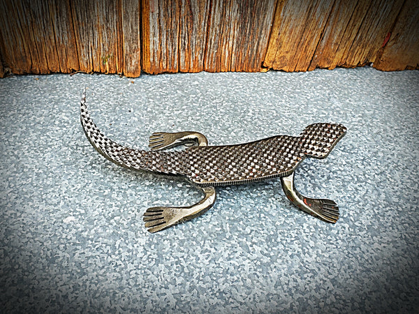 Rasp Lizard